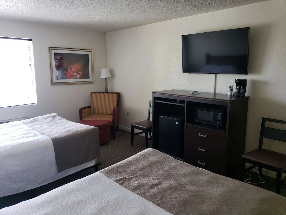 Comfort Quadruple Studio with pool view