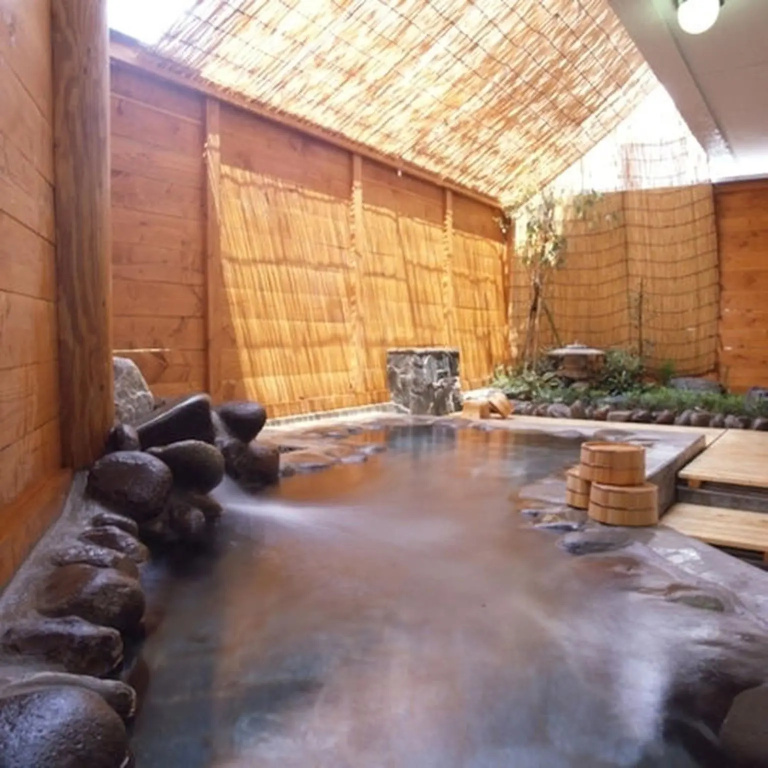 Ikaho Onsen Sanyo Hotel - Général
