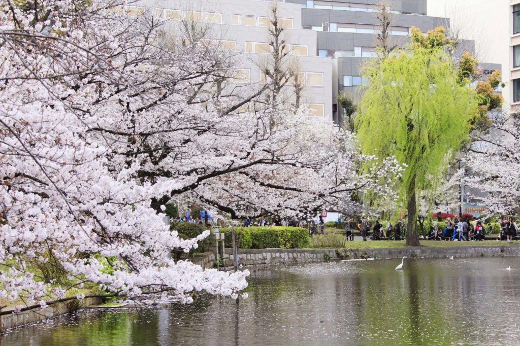 Centurion Ladies Hostel Ueno Park - Caters to Women 사진 19