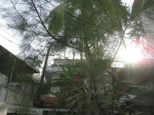 Rose Garden Home Stay Cochin