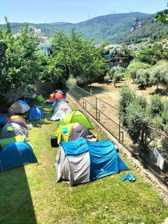 Tent