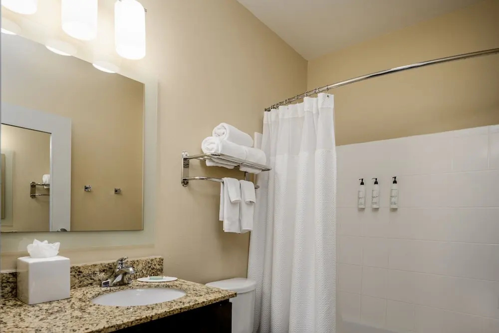 Towneplace Suites by Marriott Houston Galleria Area - Chambres