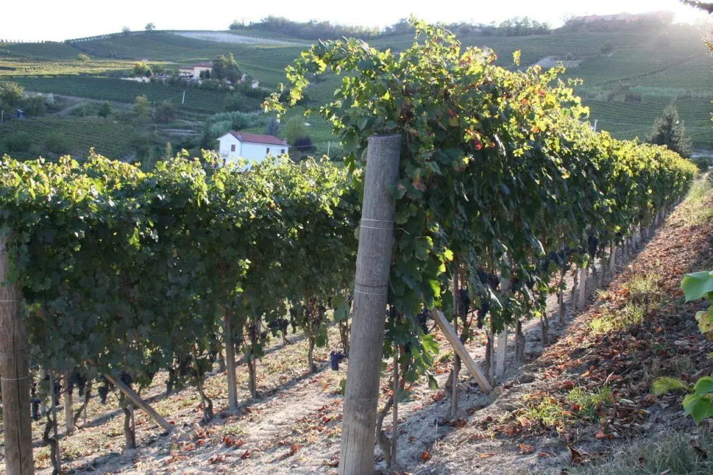 Il Mulino Di Geminella