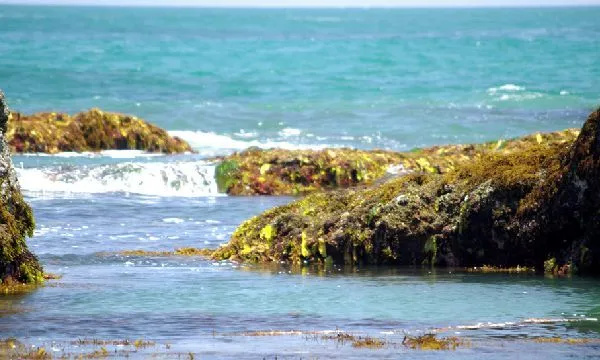 images