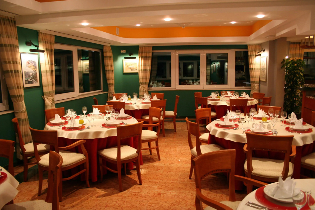 Hotel Villa Dvor - Général