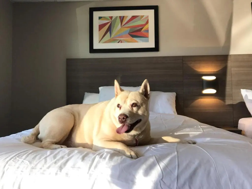 Standard room