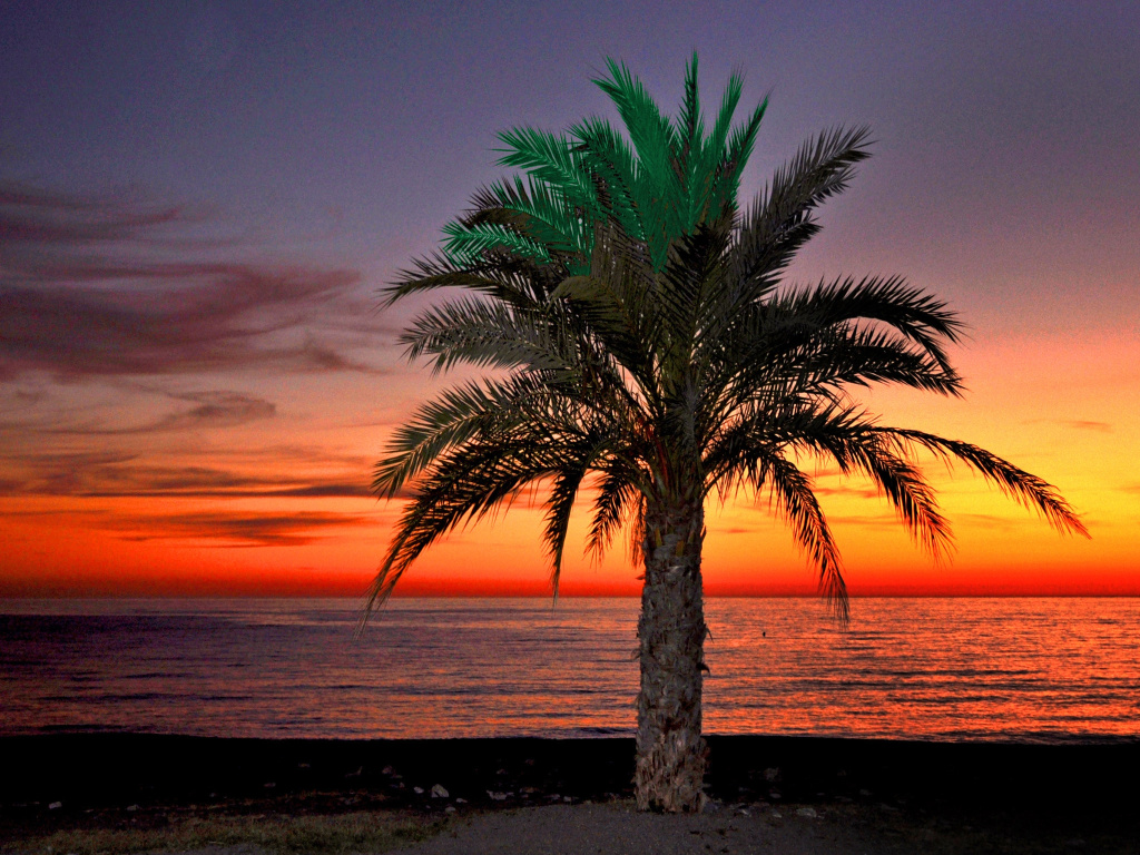 Beach & Waterfront