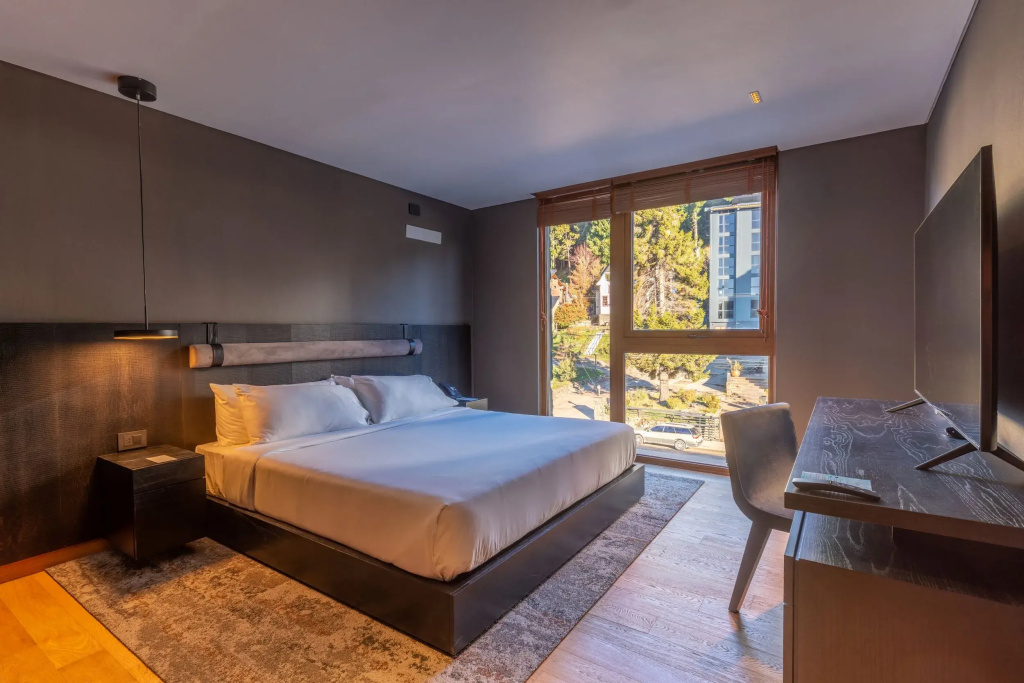 Standard Double room with city view (full double bed)
