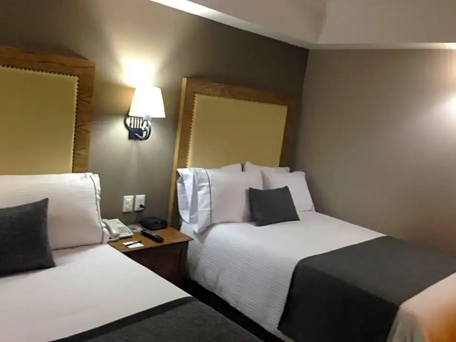 Standard Double room (twin beds)