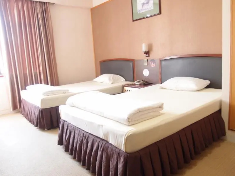 Superior Double room (twin beds)