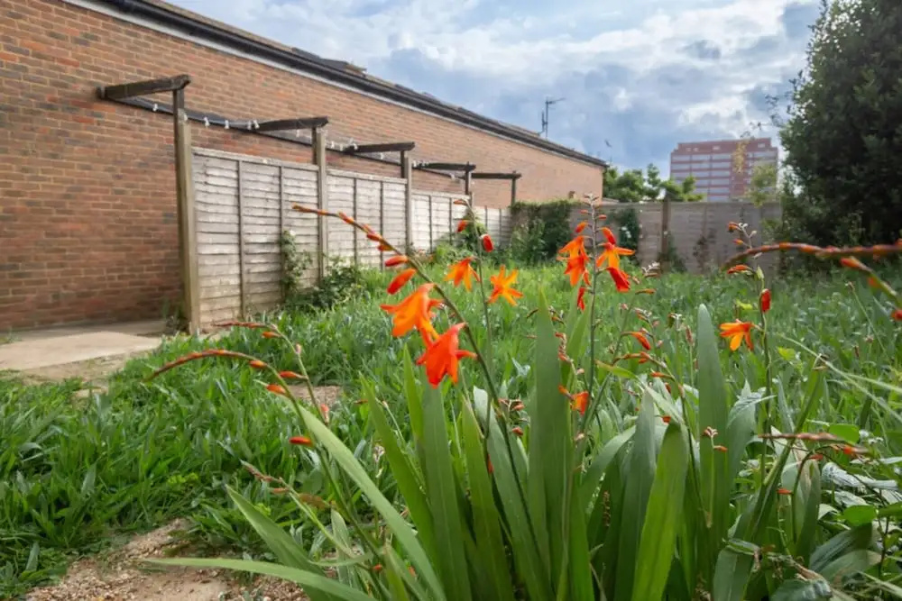 Charming Sanctuary in St Leonards on Sea - Flat 1
