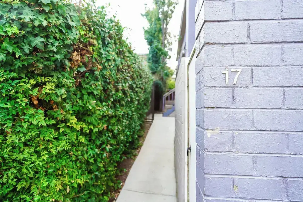Darling Street Residence