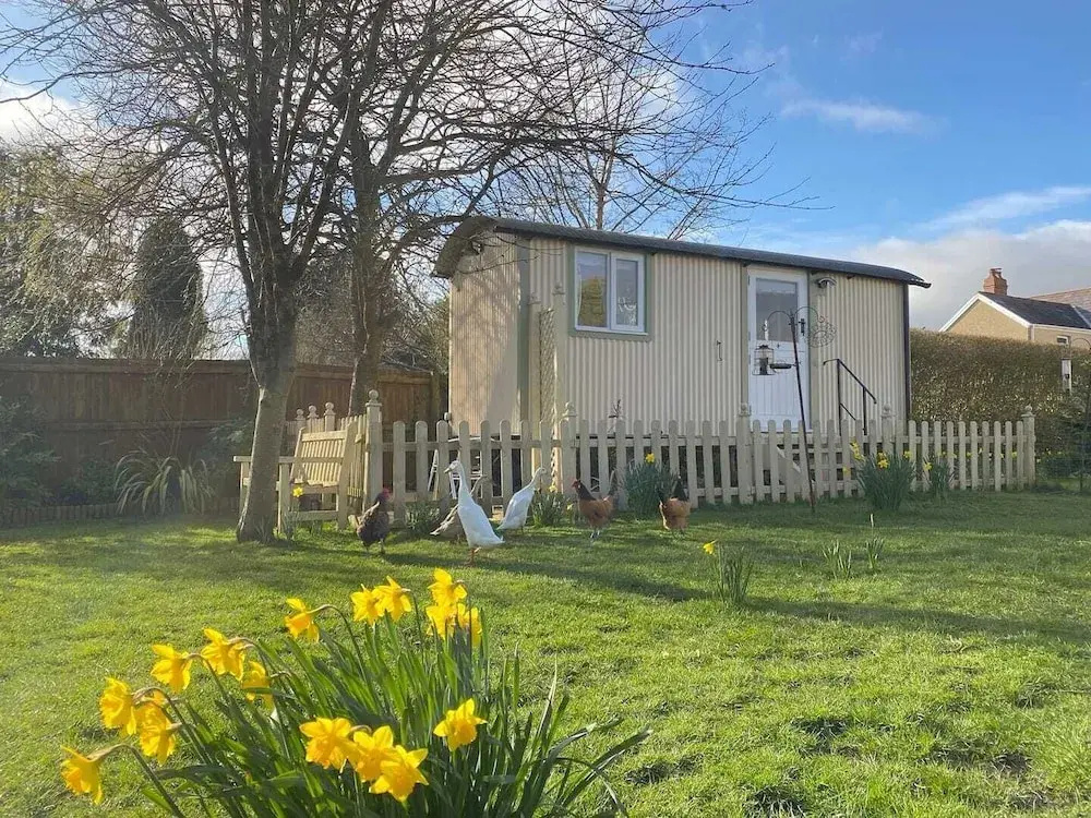 Duck House - 1 Bed Shepherds Hut - Gower
