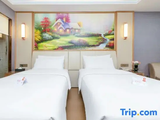 Deluxe Double room (twin beds)