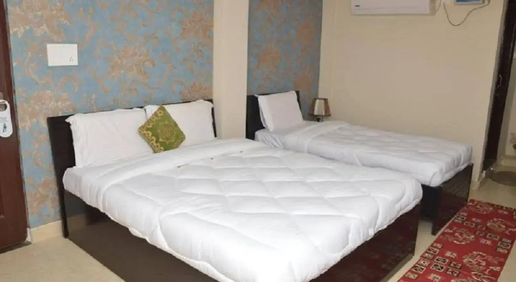 Hotel Park Inn - Général