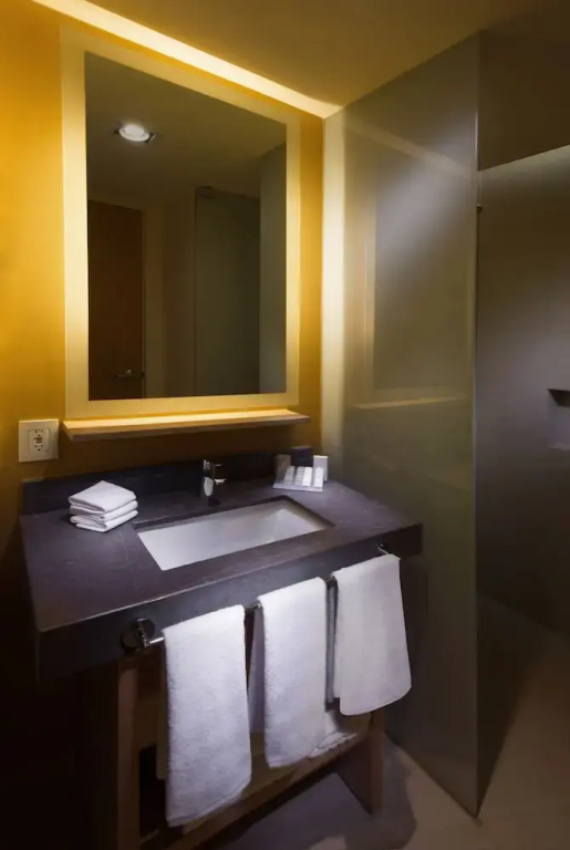 Hilton Garden Inn Monterrey Airport - Chambres