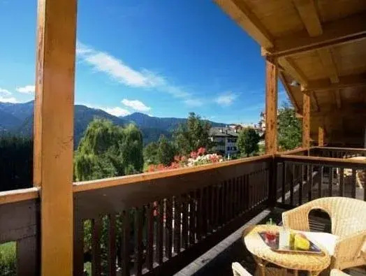 Balcony & Terrace