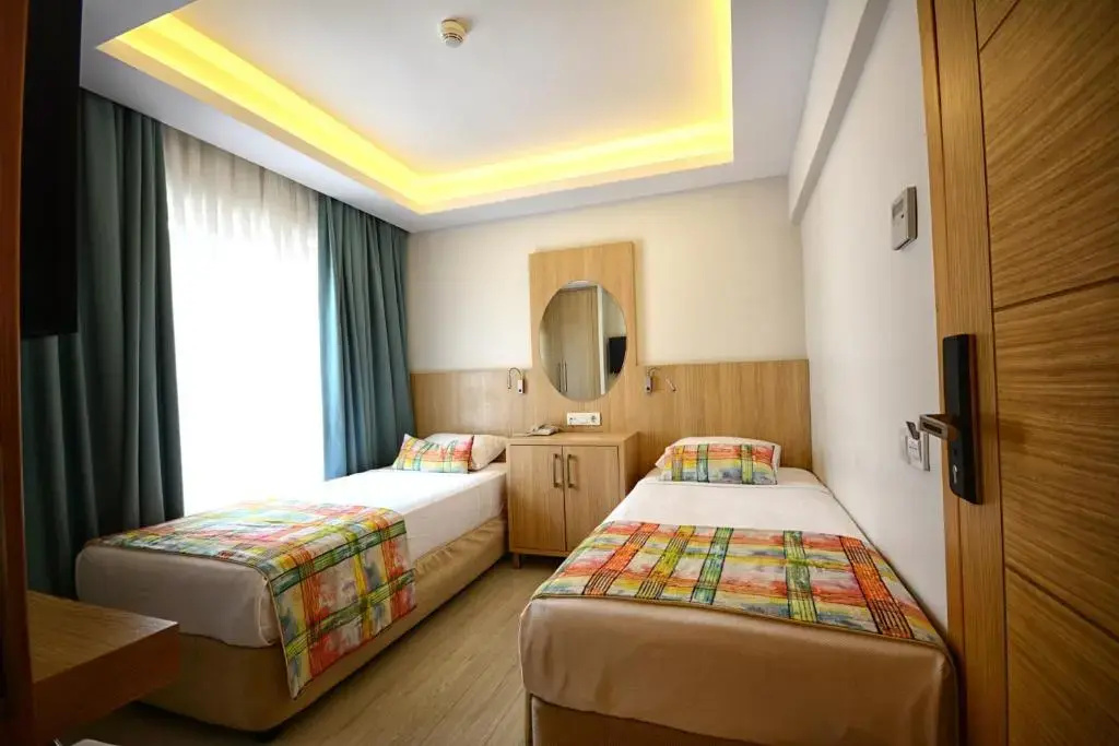 Standard Double room (twin beds)