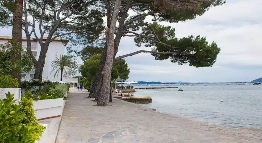 Beach & Waterfront