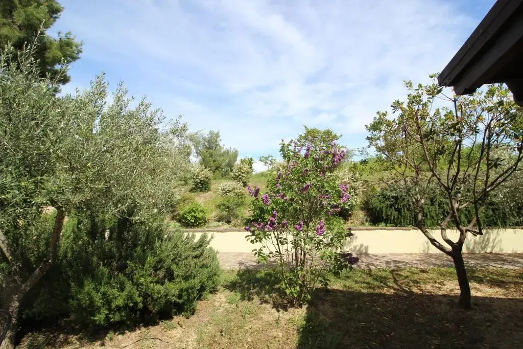 La Celletta Country House - Général