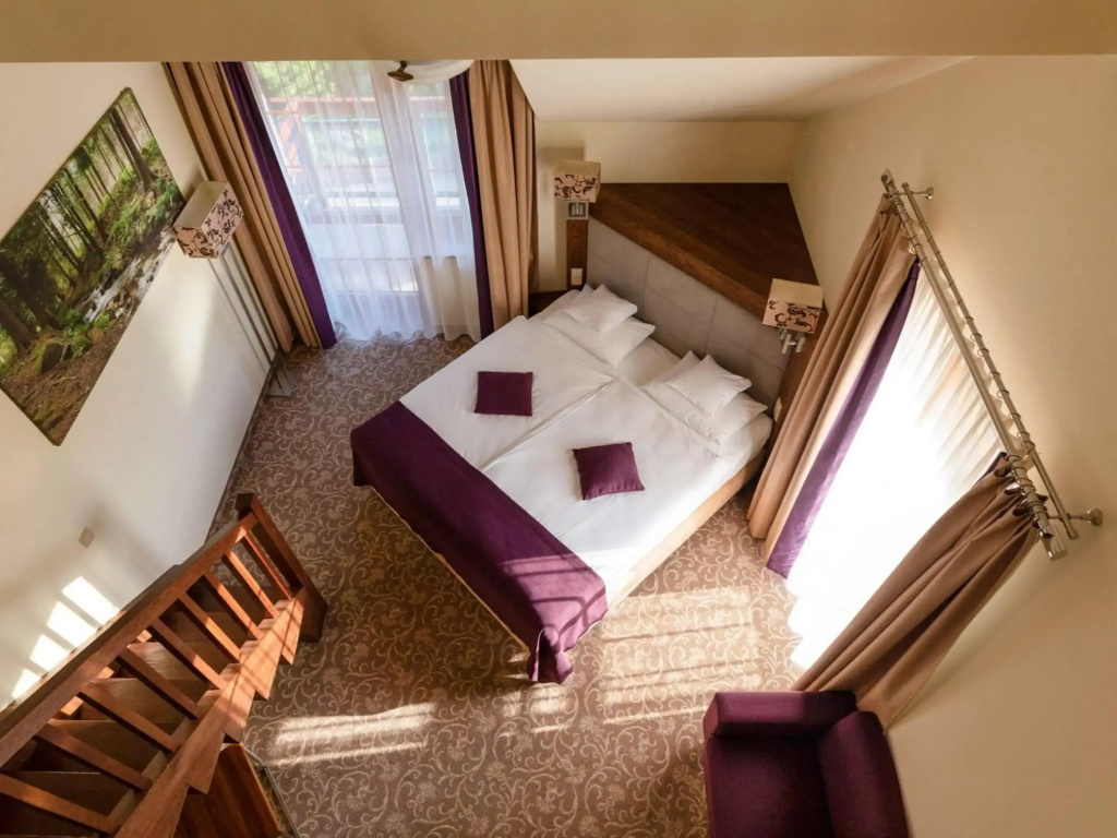Hotel Mercure Krynica Zdroj Resort & Spa - Général