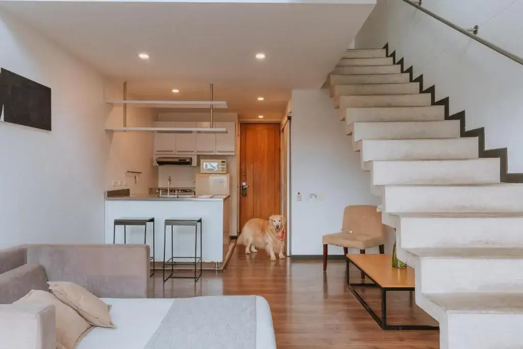Orange Suite Medellin - Chambres