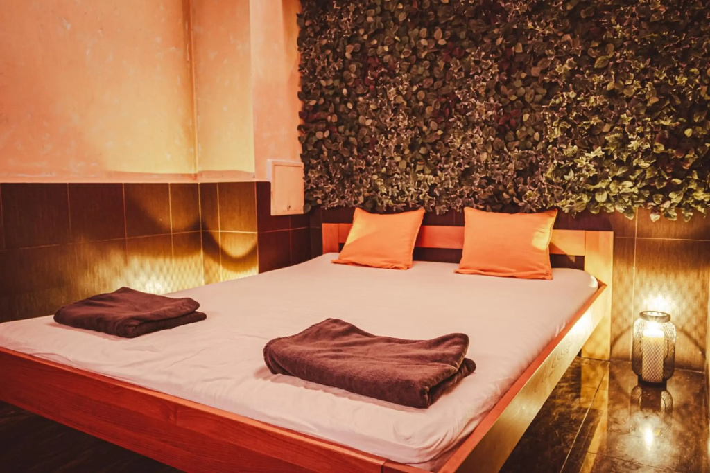 Premium Business Hotel Bratislava - фото 19