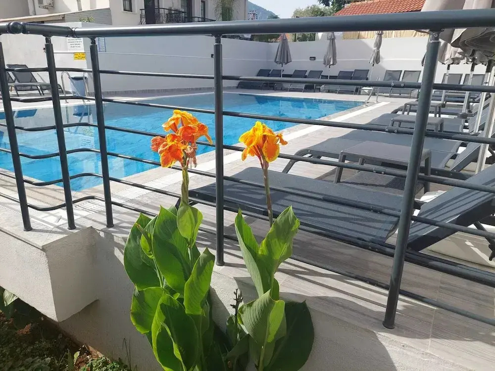 Hotel photo 23