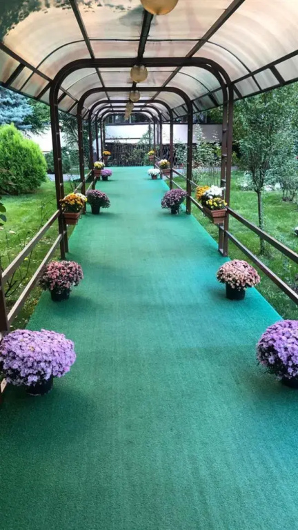 Phoenicia Suites