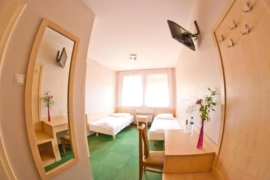 Standard Double room (full double bed)