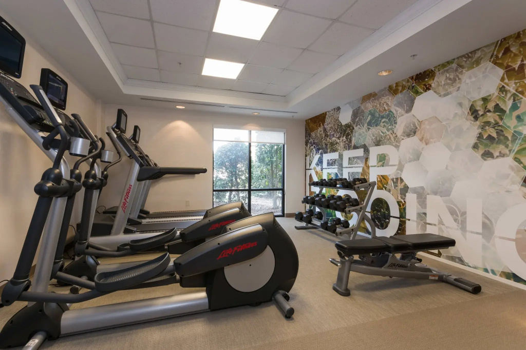 SpringHill Suites by Marriott Charlotte Concord Mills Spdwy - Général