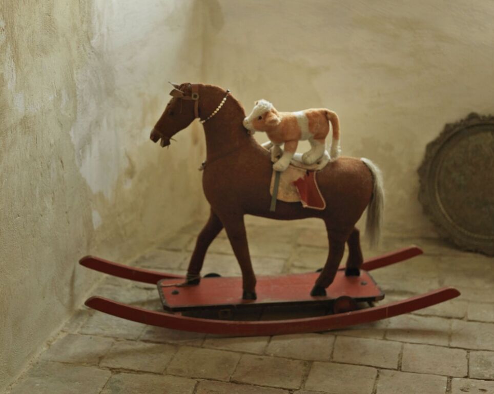 Image 37
