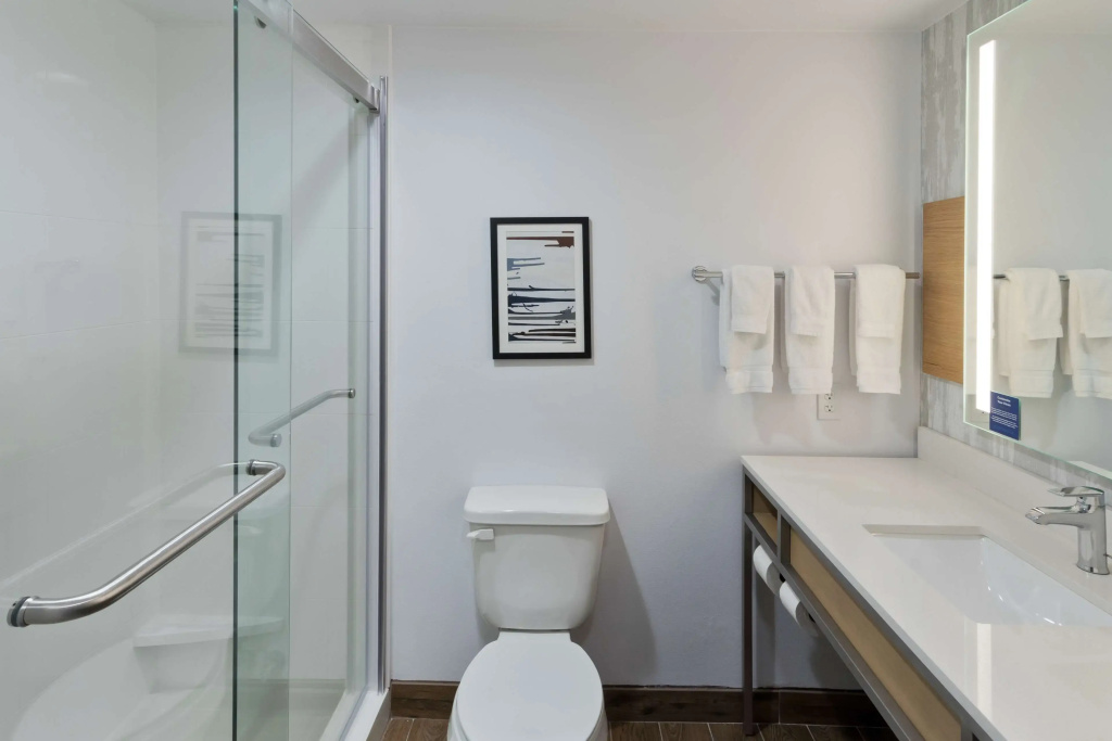 Hilton Garden Inn Birmingham SE/Liberty Park - Général