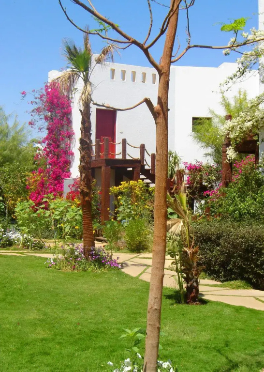 DELTA SHARM RESORT ,Official Web, DELTA RENT, Sharm El Sheikh, South Sinai, Egypt, photo 4