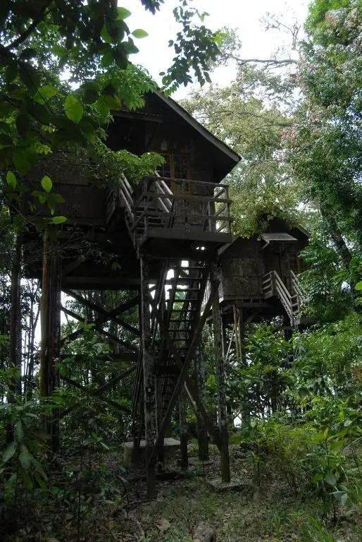 Permai Rainforest Resort
