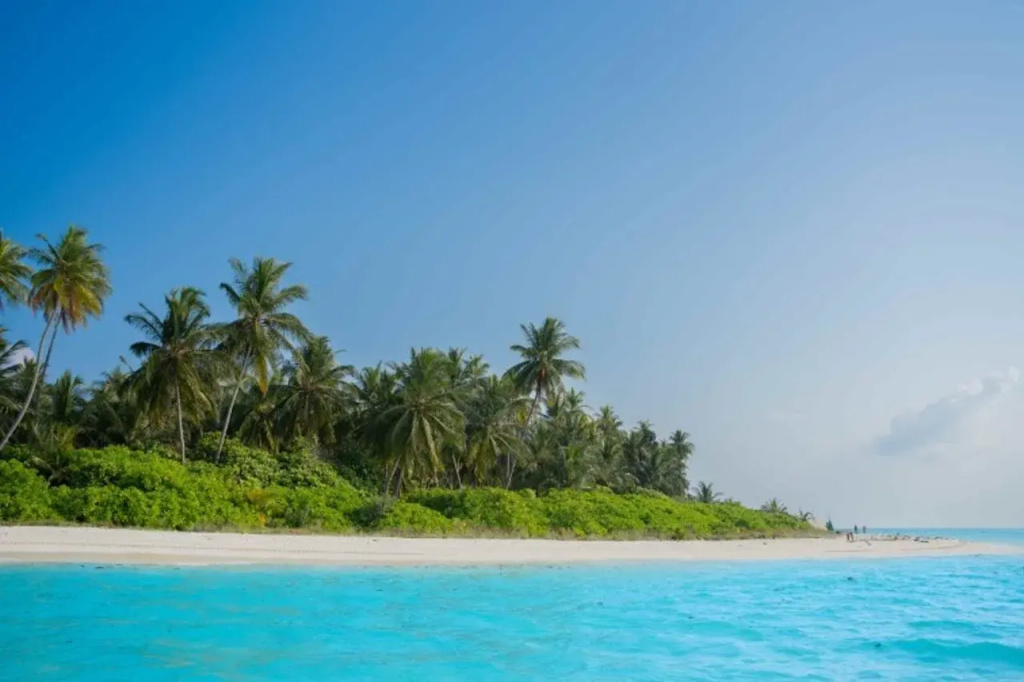 Coral Pearl, Lakshadweep - IHCL SeleQtions — фото 4