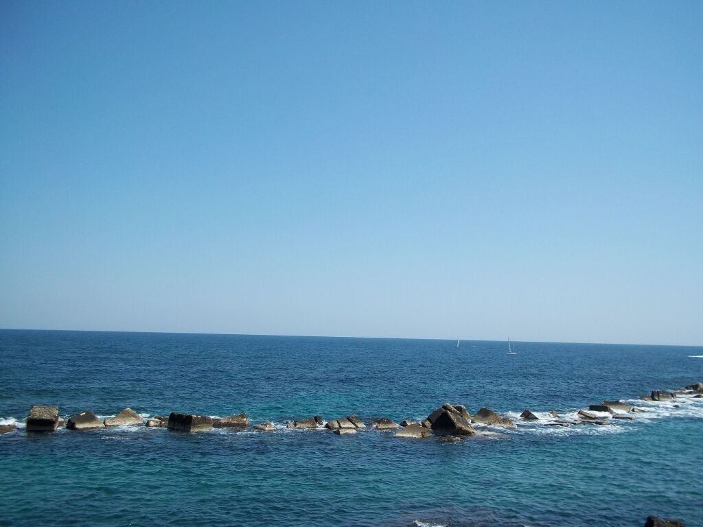 Image 20