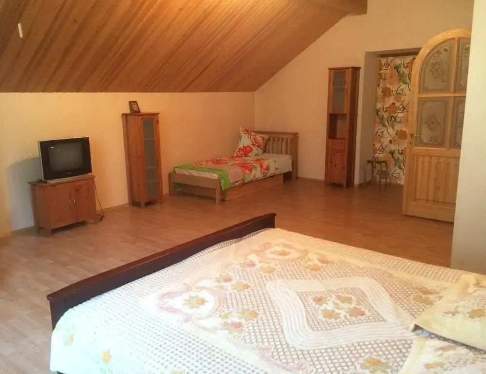 Standard Family room with land view