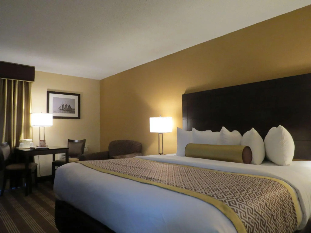 Standard Double room (full double bed)