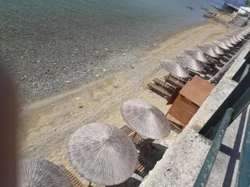 Beach & Waterfront