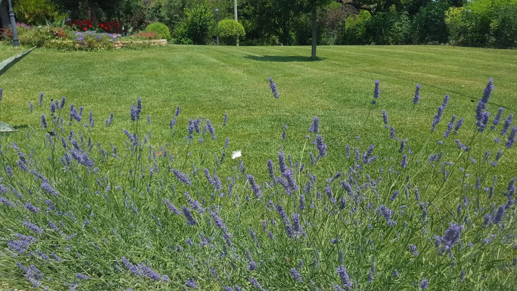 Agriturismo I Cerri