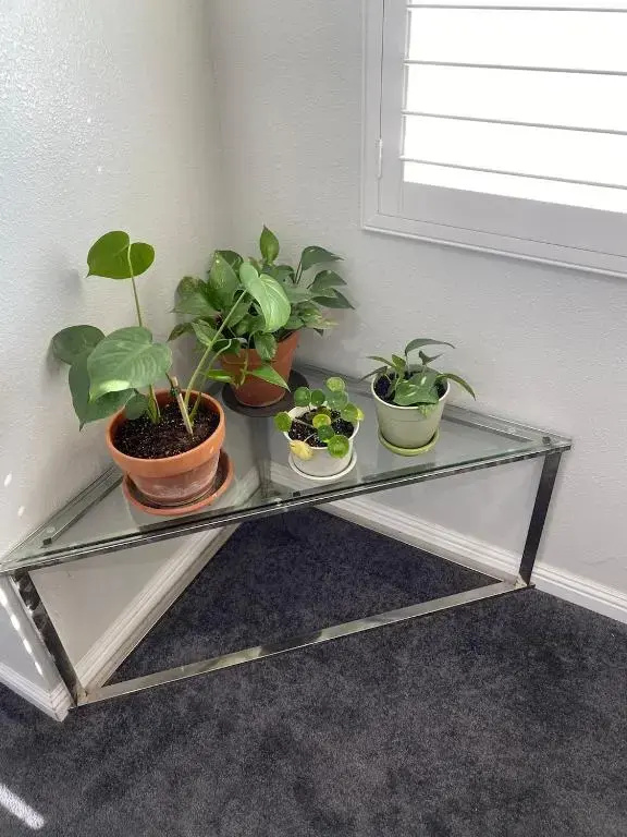 Private Room in Los Angeles with WIFI, Balcony w/ View of Hollywood Sign & Shared Kitchen