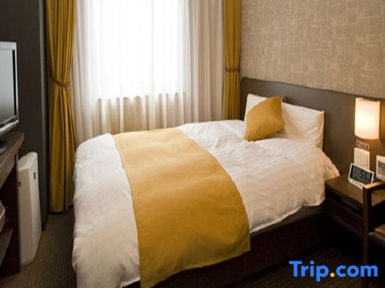 Dormy Inn Premium Kyoto Ekimae Natural Hot Spring 사진 5