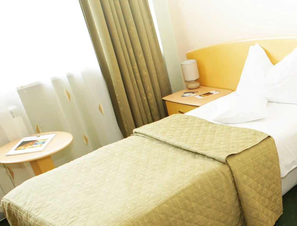 Eurohotel Baia Mare - Général