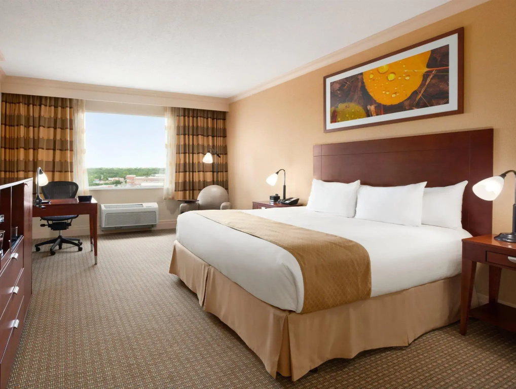 DoubleTree by Hilton Hotel Dallas – Love Field - Chambres