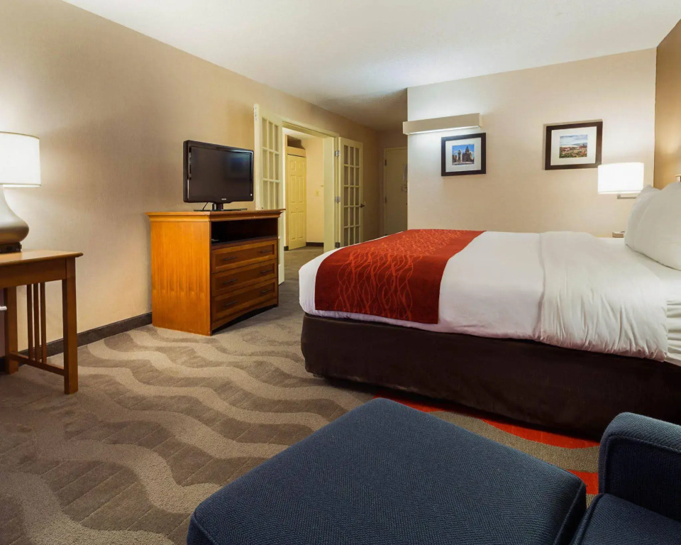 Comfort Inn & Suites Syracuse Airport - фото 3