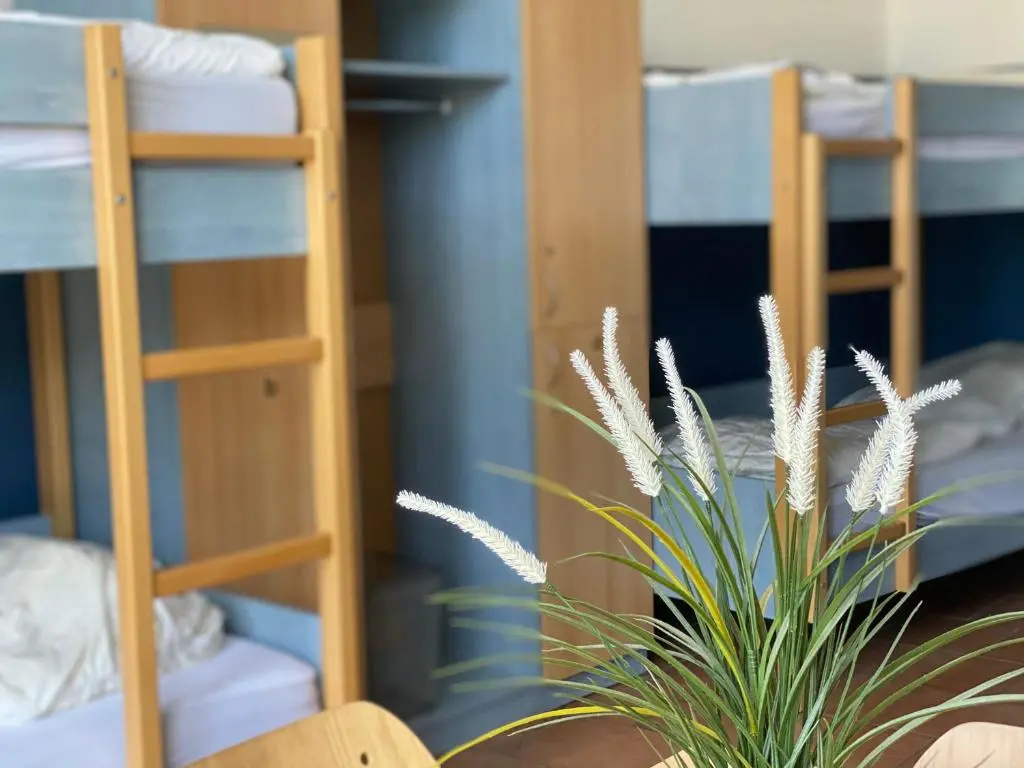 Bed in Dorm