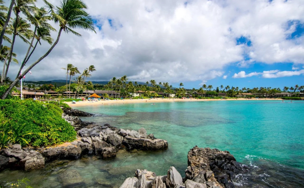 Beach & Waterfront