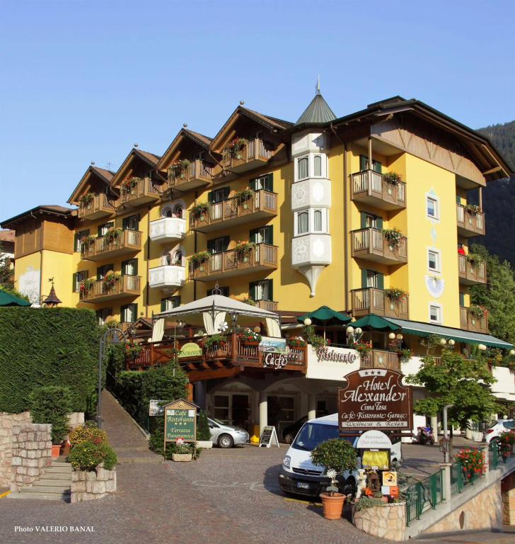 Alexander Hotel Alpine Wellness Dolomites - Général