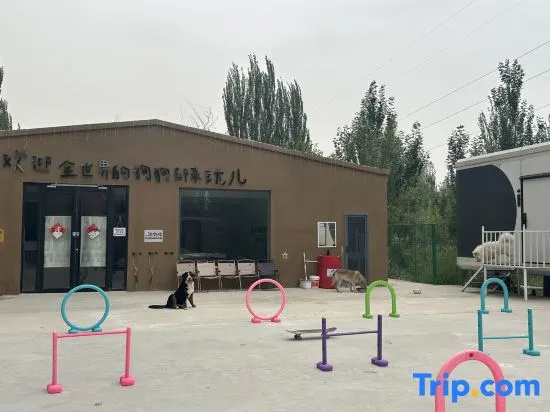 Jiuyue · Green | Pet Joy Pet-Friendly Vacation Apartment